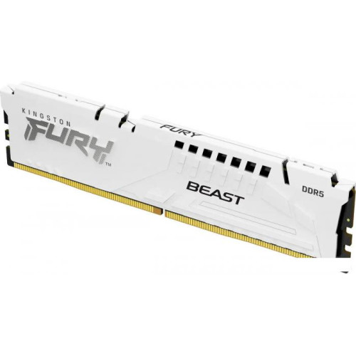 Оперативная память Kingston FURY Beast 16ГБ DDR5 6000 МГц KF560C30BW-16