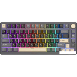 Клавиатура Royal Kludge RK-M75 RGB (Phantom, RK Silver)