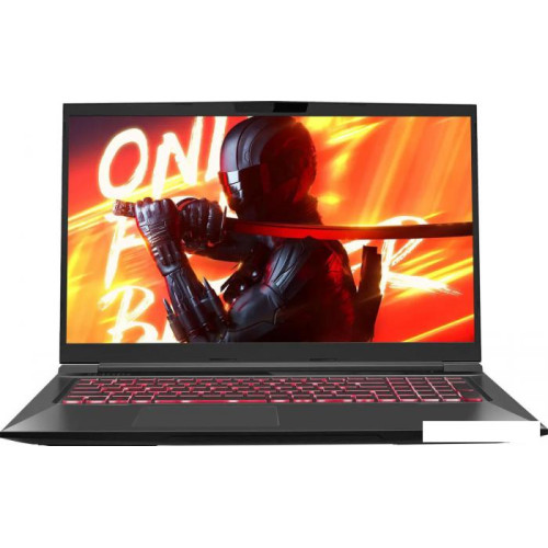 Игровой ноутбук Maibenben X725 X725FSFNLBRE0