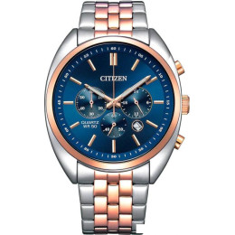 Наручные часы Citizen AN8216-50L