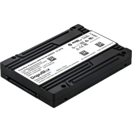 SSD DapuStor Roealsen5 R5101 3.84TB