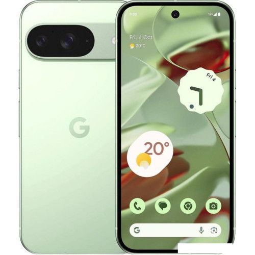 Смартфон Google Pixel 9 12GB/256GB (винтергрин)