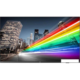 Информационная панель Philips 55BFL2214/12