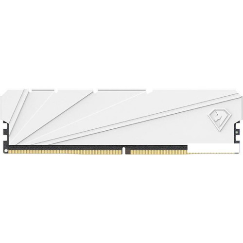 Оперативная память Netac Shadow S 8ГБ DDR4 2666 МГц NTSSD4P26SP-08W