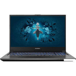Игровой ноутбук Colorful Evol X17 AT 23H1 A10205400070