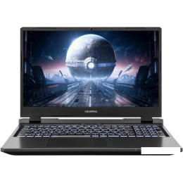 Игровой ноутбук Colorful Evol P15 24 A10205400053