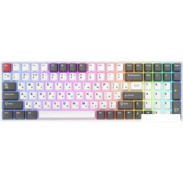 Клавиатура Royal Kludge RK100 RGB (белый/серый, RK Brown)