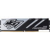 Оперативная память Apacer Panther 32ГБ DDR5 6200 МГц AH5U32G62C5327BAA-1