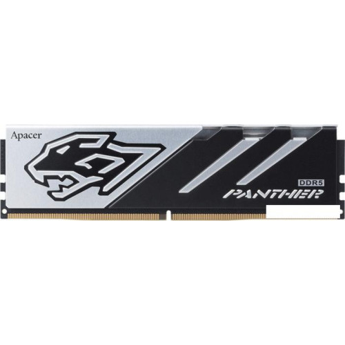 Оперативная память Apacer Panther 32ГБ DDR5 6200 МГц AH5U32G62C5327BAA-1