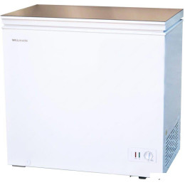 Морозильный ларь Willmark CF-310G
