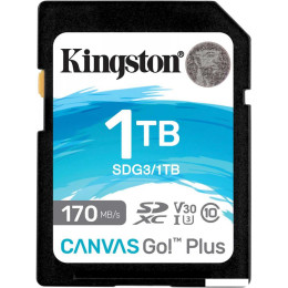 Карта памяти Kingston Canvas Go! Plus SDXC 1TB