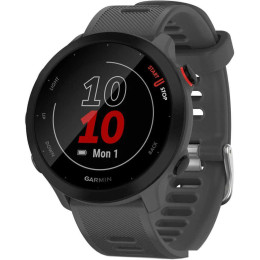 Умные часы Garmin Forerunner 55 (серый)