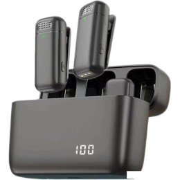 Радиосистема Miru MIC005