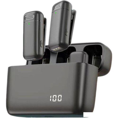 Радиосистема Miru MIC005