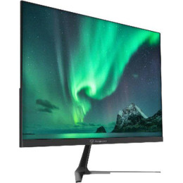 Игровой монитор Raskat I24F16D