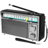 Радиоприемник Ritmix RPR-131