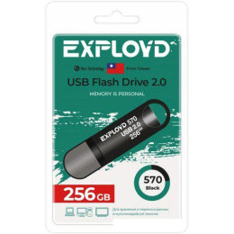 USB Flash Exployd 570 256GB (черный)