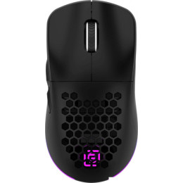 Игровая мышь Oklick 900GMW (черный)