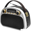 Радиоприемник Ritmix RPR-040 (белый)