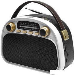 Радиоприемник Ritmix RPR-040 (белый)