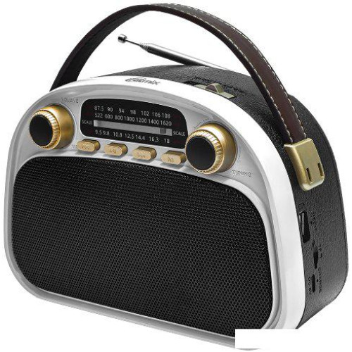 Радиоприемник Ritmix RPR-040 (белый)