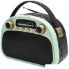 Радиоприемник Ritmix RPR-040 (мятный)