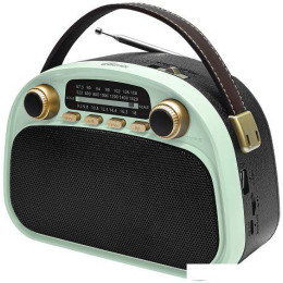 Радиоприемник Ritmix RPR-040 (мятный)