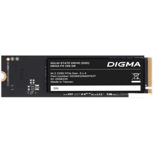 SSD Digma Mega P5 256GB DGSM3256GP53T