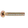 Шуруп Starfix SMV1-45425-5