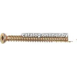 Шуруп Starfix SMC1-99095-100