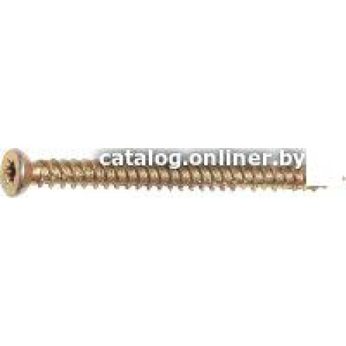 Шуруп Starfix SMC1-99095-100