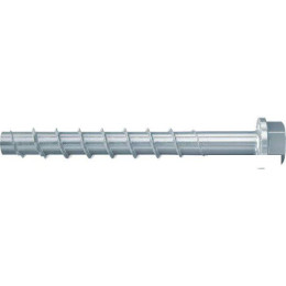Шуруп Fischer FBS II 10x60 5/-/- US ZP CONCRETE SCREW 536858 (50 шт)