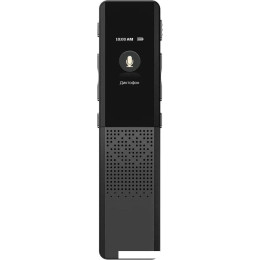 Диктофон Digma DiVoice RV70