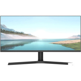Игровой монитор NPC MZ300L