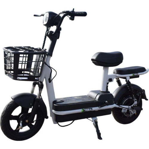 Электроскутер Terax Rex NS002