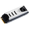 SSD Patriot Viper PV553 4TB PV553P4TBM28H