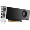 Видеокарта NVIDIA RTX 2000 Ada Generation 16GB GDDR6 900-5G192-2540-000