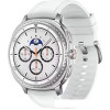 Умные часы Samsung Galaxy Watch8 Classic 46 мм LTE (серебристый)