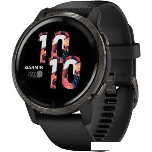 Умные часы Garmin Venu 2 (сланцевая нержавеющая сталь/черный)