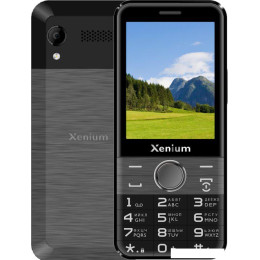 Телефон Xenium X800 (черный/серый)