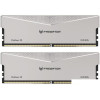 Оперативная память Acer Predator Pallas II 2x16ГБ DDR5 6000 МГц BL.9BWWR.374
