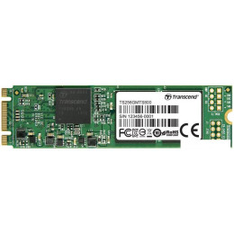 SSD Transcend MTS800 256GB TS256GMTS800S