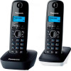 Радиотелефон Panasonic KX-TG1612RU1