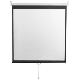 Проекционный экран Digis Optimal-D 248x249 DSOD-1107