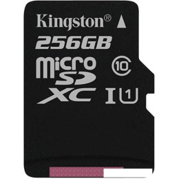 Карта памяти Kingston Canvas Select SDCS/256GBSP microSDXC 256GB