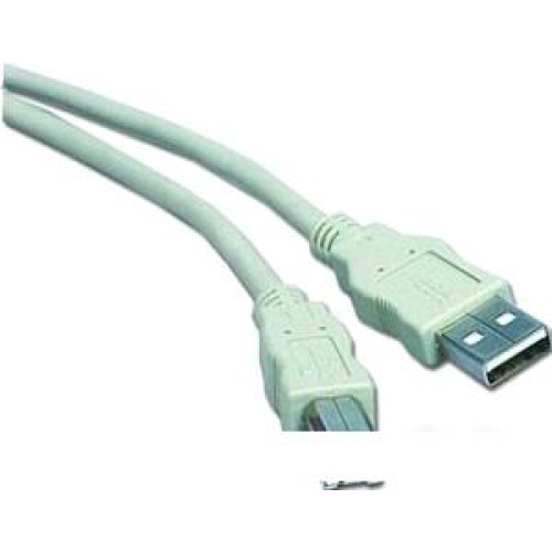 Кабель Cablexpert CC-USB2-AMBM-10