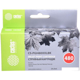 Картридж CACTUS CS-PGI480XXLBK (аналог Canon PGI-480XXL PGBK)