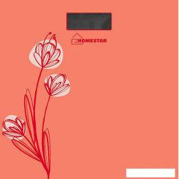 Напольные весы HomeStar HS-6001A