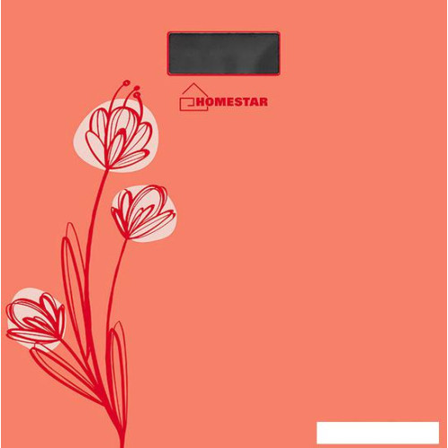 Напольные весы HomeStar HS-6001A