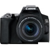Зеркальный фотоаппарат Canon EOS 250D Kit 18-55 IS STM (черный)